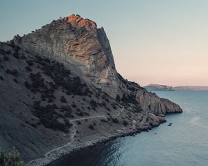 Превью обои скала, побережье, море, растение