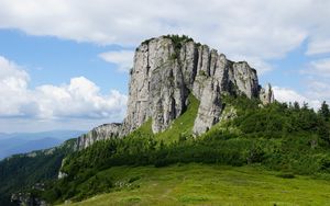 Превью обои скала, рельеф, деревья, склон, трава