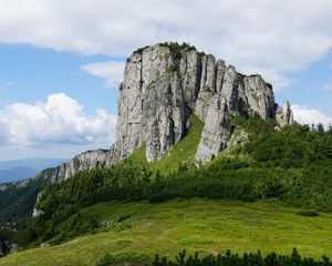 Превью обои скала, рельеф, деревья, склон, трава