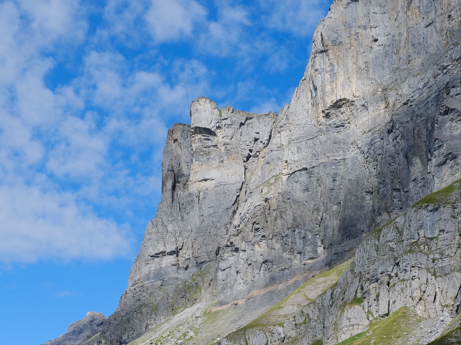 Вертикальный рельеф на скалах. Медвежьи скалы рельеф. Скала 1200ч700. Рельеф скалы