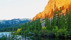 Превью обои скала, склон, деревья, природа