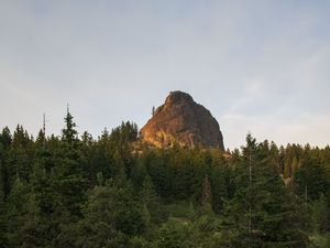 Превью обои скала, вершина, деревья, лес, природа, пейзаж