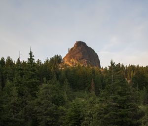 Превью обои скала, вершина, деревья, лес, природа, пейзаж