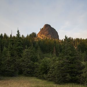 Превью обои скала, вершина, деревья, лес, природа, пейзаж