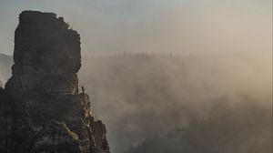 Превью обои скала, вершина, туман, деревья, пейзаж