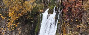 Превью обои скала, водопад, вода, ветки, деревья, природа