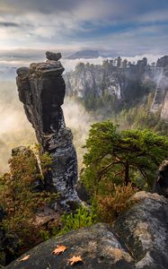 Превью обои скалы, деревья, лес, туман, природа, вид сверху