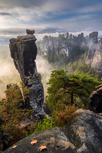 Превью обои скалы, деревья, лес, туман, природа, вид сверху