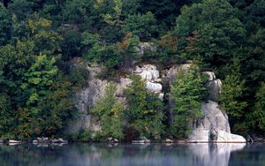 Превью обои скалы, деревья, озеро, растительность, водная гладь