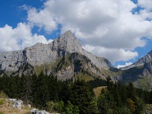 Превью обои скалы, деревья, склон, камни, трава