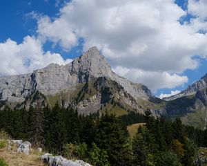 Превью обои скалы, деревья, склон, камни, трава