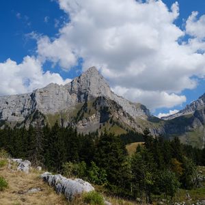 Превью обои скалы, деревья, склон, камни, трава