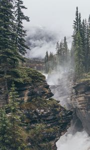 Превью обои скалы, деревья, туман, пейзаж, природа