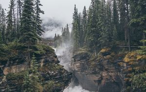 Превью обои скалы, деревья, туман, пейзаж, природа