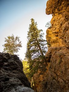 Превью обои скалы, деревья, ущелье, природа, пейзаж