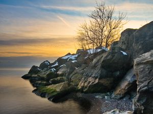 Превью обои скалы, дерево, море, берег, закат, пейзаж