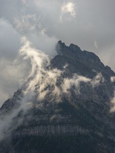 Превью обои скалы, гора, туман, деревья