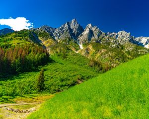 Превью обои скалы, горы, долина, трава, пейзаж