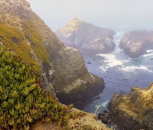 Превью обои скалы, горы, море, птицы, пейзаж