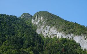 Превью обои скалы, горы, обрыв, деревья, пейзаж