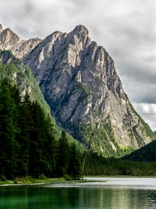 Превью обои скалы, горы, озеро, деревья, ель