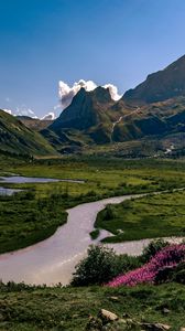 Превью обои скалы, горы, река, цветы, пейзаж