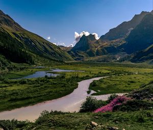 Превью обои скалы, горы, река, цветы, пейзаж