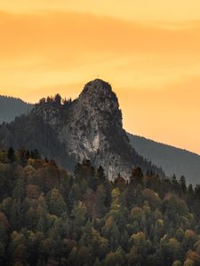 Превью обои скалы, горы, склон, деревья, лес