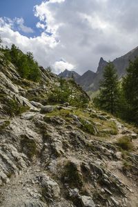 Превью обои скалы, камни, деревья, кусты