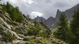 Превью обои скалы, камни, деревья, кусты