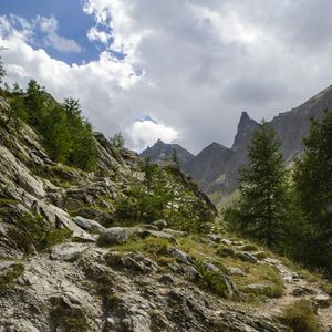 Превью обои скалы, камни, деревья, кусты