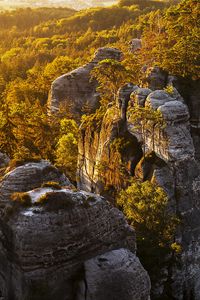 Превью обои скалы, камни, деревья, кусты, небо