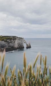 Превью обои скалы, колосья, море, пейзаж