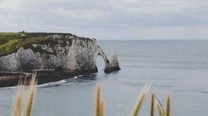 Превью обои скалы, колосья, море, пейзаж