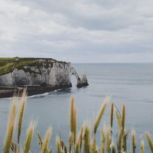 Превью обои скалы, колосья, море, пейзаж