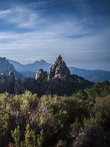 Превью обои скалы, кусты, пейзаж