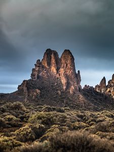 Превью обои скалы, кусты, растения, пейзаж