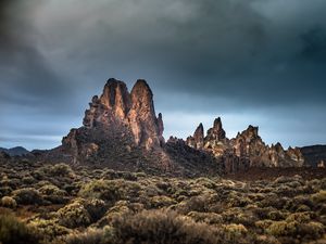 Превью обои скалы, кусты, растения, пейзаж