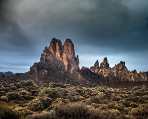 Превью обои скалы, кусты, растения, пейзаж