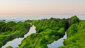 Превью обои скалы, мох, море, горизонт, небо