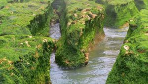 Превью обои скалы, мох, вода, река, зелень