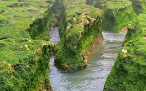 Превью обои скалы, мох, вода, река, зелень