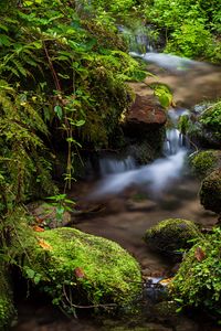 Превью обои скалы, мох, водопад, ручей, природа