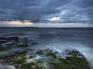 Превью обои скалы, море, горизонт, мох