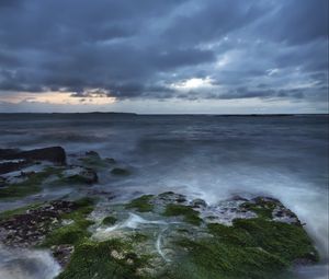 Превью обои скалы, море, горизонт, мох