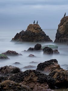 Превью обои скалы, море, птицы, туман