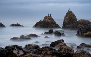 Превью обои скалы, море, птицы, туман