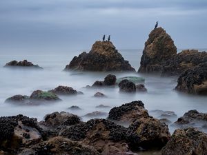 Превью обои скалы, море, птицы, туман