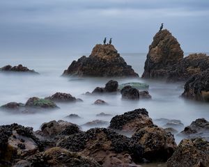 Превью обои скалы, море, птицы, туман