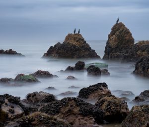 Превью обои скалы, море, птицы, туман